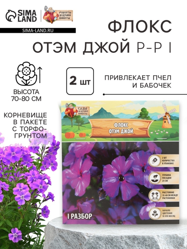 Флокс «Отэм Джой» корневище в пакете с торфогрунтом, р-р I, 2 шт.