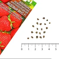 Семена Земляника &laquo;Медовый вкус&raquo;, ремонтантная, крупноплодная, F1, &laquo;АЭЛИТА&raquo;, 7 шт.