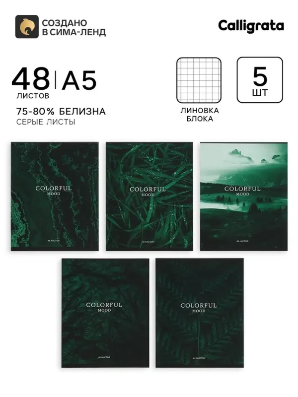 Тетради 48 листов в клетку &laquo;Изумруд&raquo;, серые листы, 5 штук