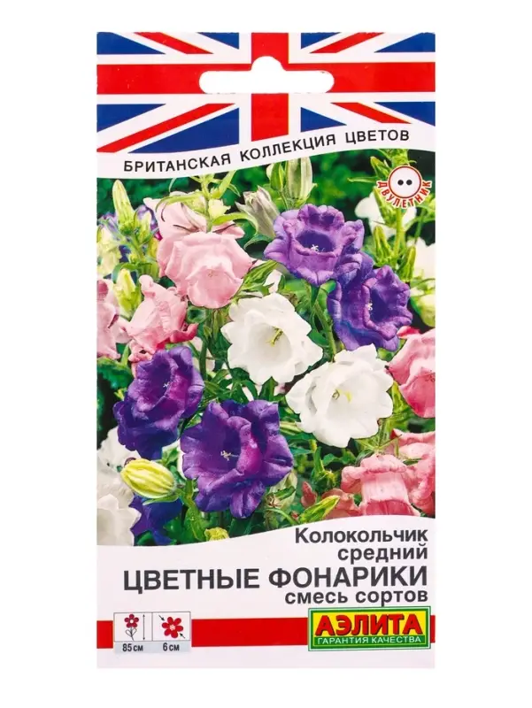 Семена цветов Колокольчик Цветные фонарики, смесь сортов Дв Британская коллекция цветов, Ц/П,0,2 г 1 Семена цветов Колокольчик Цветные фонарики, смесь сортов Дв Британская коллекция цветов, Ц/П,0,2 г 1