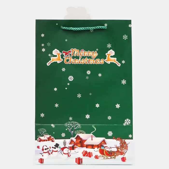 Пакет подарочный ламинированный с окном «Новый год» тиснение, 30×20×16 см, зеленый Пакет подарочный ламинированный с окном «Новый год» тиснение, 30×20×16 см, зеленый