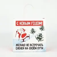 Пакеты подарочные новогодние &laquo;Новый год&raquo;, 22&times;22&times;11 см, 10 шт.