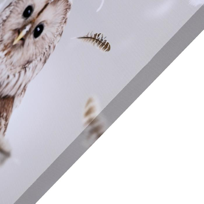 Картина на холсте Картина на холсте "Совушка" 50х70 см