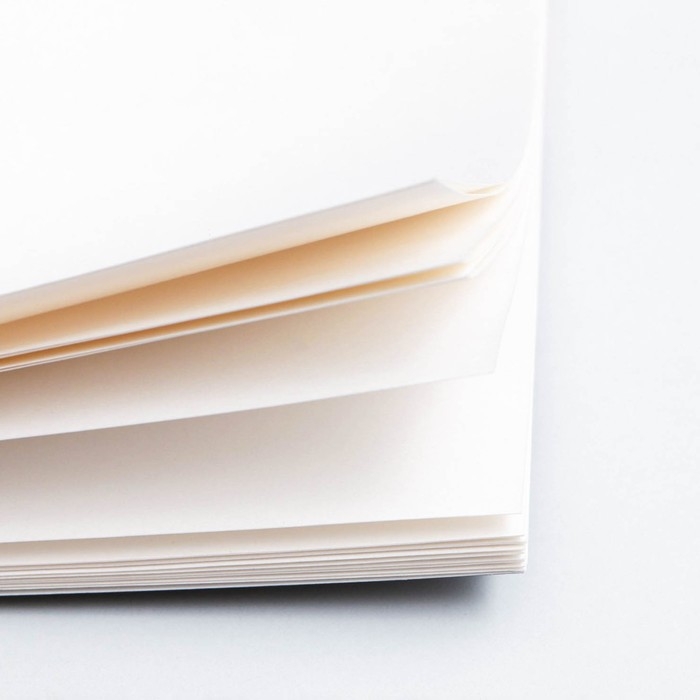 Альбом для рисования А4 24 листа на скрепке «1 сентября: Корги» обложка 160 г/м2, бумага 100 г/м2. Альбом для рисования А4 24 листа на скрепке «1 сентября: Корги» обложка 160 г/м2, бумага 100 г/м2.