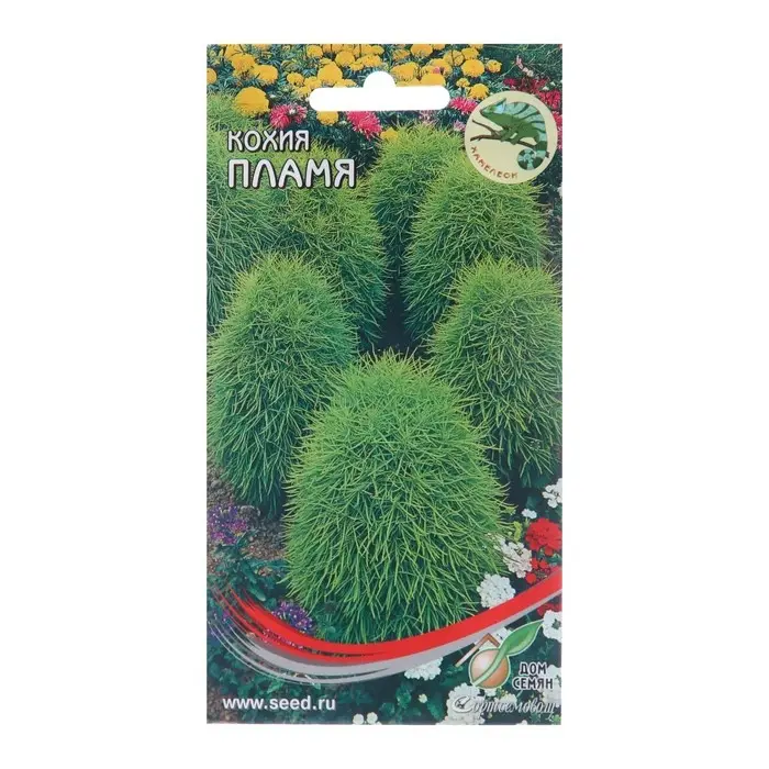 Семена цветов Кохия  Семена цветов Кохия "Пламя", 70 шт