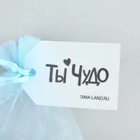 Мешочек подарочный из фатина с термонаклейкой «Ты чудо», 11 х 16 см +/- 1.5 см