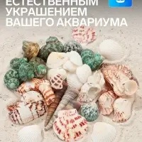 Набор ракушек &laquo;Пижон Аква&raquo;, 200 г, микс №1