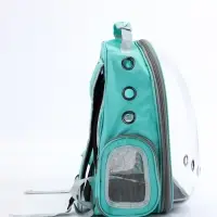 Рюкзак для переноски животных прозрачный, 31 х 28 х 42 см, бирюзовый Рюкзак для переноски животных прозрачный, 31 х 28 х 42 см, бирюзовый