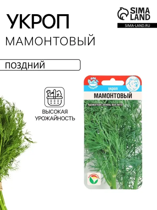 Семена Укроп "Мамонтовый", 1 г