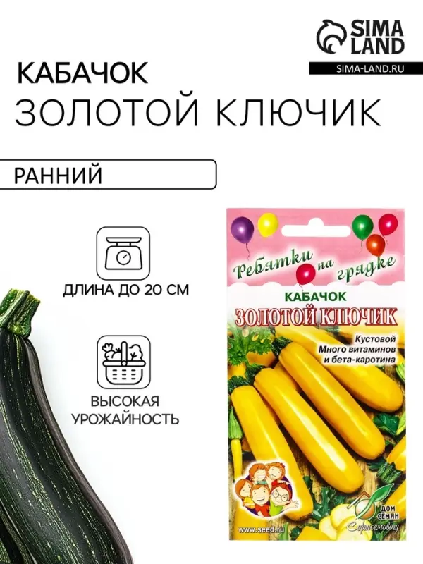 Семена Кабачок Золотой Ключик 13 шт