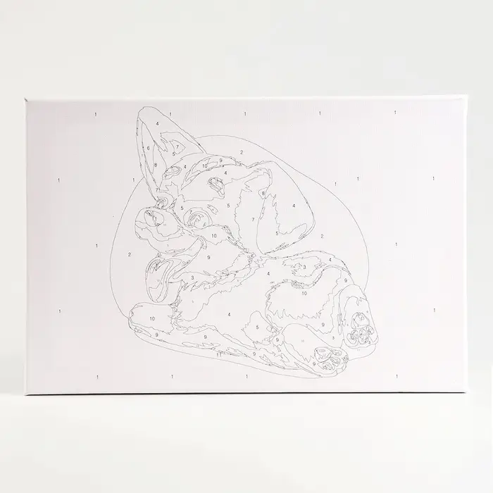 Картина по номерам на холсте с подрамником &laquo;Малыш Корги&raquo; 20&times;30 см