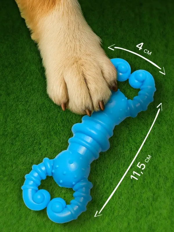 Игрушка для собак резиновая &laquo;Гантель-крабы&raquo;, TPR, 11.5&times;2 см, голубая