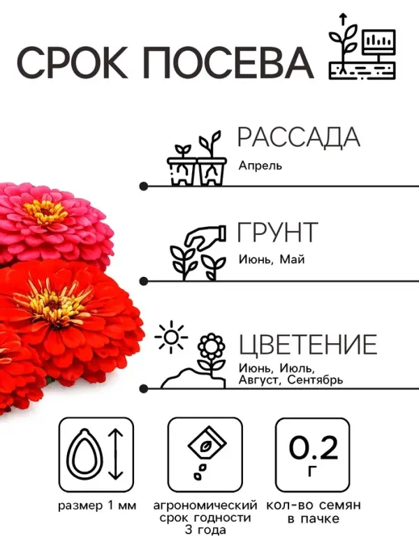 Семена цветов Цинния &laquo;Фейерверк&raquo;, смесь, 0.2 г, &laquo;Рецепты дедушки Никиты&raquo;