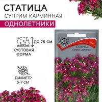 Семена цветов Статица &laquo;Суприм карминная&raquo;, 0.15 г, &laquo;ПОИСК&raquo;
