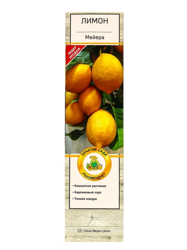 Цитрус Цитрус "Лимон Мейера", туба, 1 шт, Весна 2025