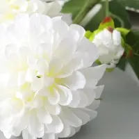 Цветы искусственные &laquo;Хризантема Бранхил черри&raquo;, d=9 см, h=49 см, белые