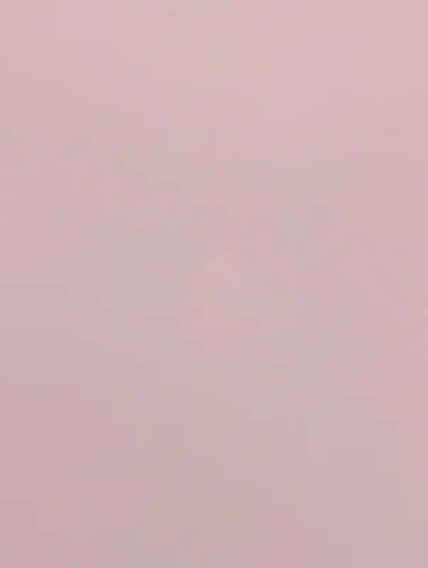 Пленка для цветов и букетов &laquo;Полупрозрачная кайма&raquo;, нежная сирень, 57&times;57 см