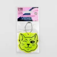Светоотражающий элемент «Кот хитрец», двусторонний, 6×5.9 см, МИКС