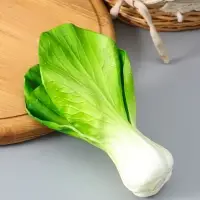 Муляж "Пучок зелени" 17х9,5 см, зелёный