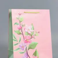 Пакет подарочный "Нежный комплимент" ламинированный 26 х 12 х 32 см