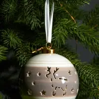 Ёлочный шар с подсветкой &laquo;Олень&raquo;, 10&times;8.8&times;8.8 см, 1 LED, керамика, от батареек LR44&times;3, керамика, свечение тёплое белое