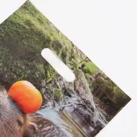 Пакет подарочный &laquo;Капибара&raquo;, полиэтиленовый с вырубной ручкой, 30&times;40 см 50 мкм