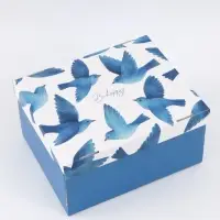 Коробка складная &laquo;Птицы&raquo;, 31 х 25,5 х 16 см
