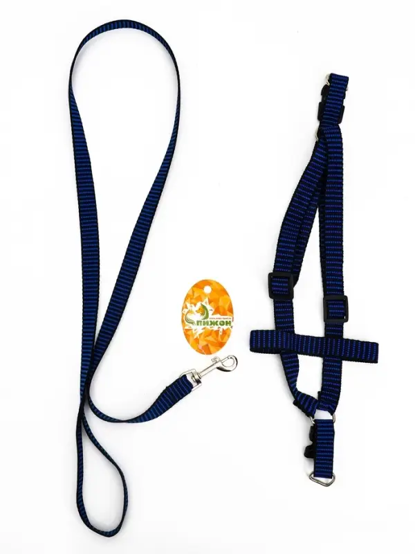 Комплект амуниции рельефный, поводок 120&times;2 см, ОГ 44-50 см, сине-чёрный