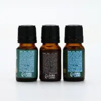 Эфирное масло, набор 3 шт х 10 мл, Банный Дух Эфирное масло, набор 3 шт х 10 мл, Банный Дух