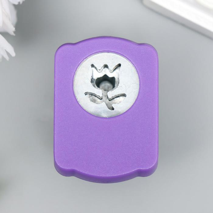 Набор фигурных дыроколов в сундуке, 8 шт МИКС Набор фигурных дыроколов в сундуке, 8 шт МИКС