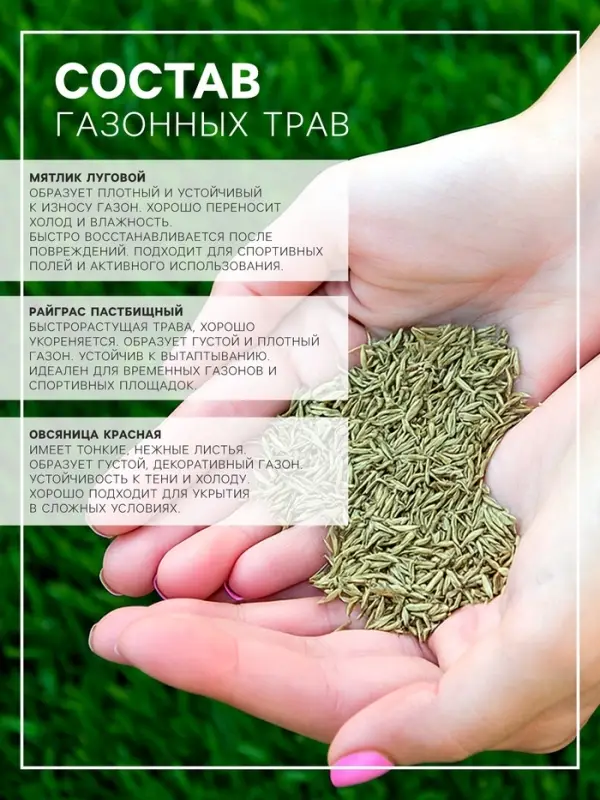 Газонная травосмесь &laquo;Низкорослая&raquo;, 1 кг