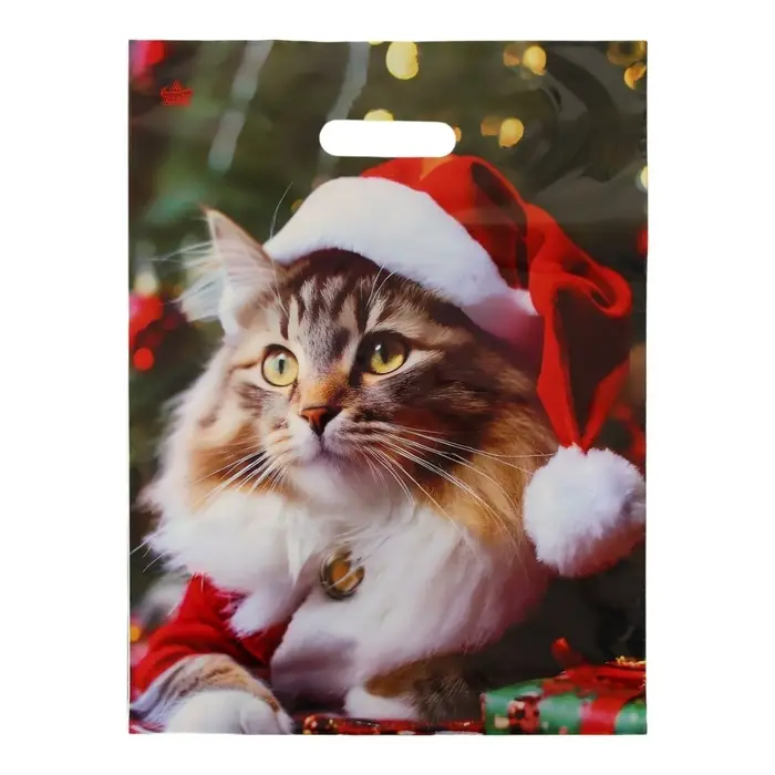 Пакет Пакет "Новогодний Мур", полиэтиленовый с вырубной ручкой,гл 40 х 31 см.