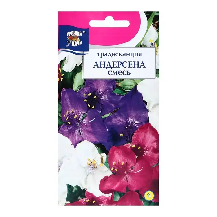 Семена цветов Традесканция Андерсена, Смесь, 0.02 г Семена цветов Традесканция Андерсена, Смесь, 0.02 г