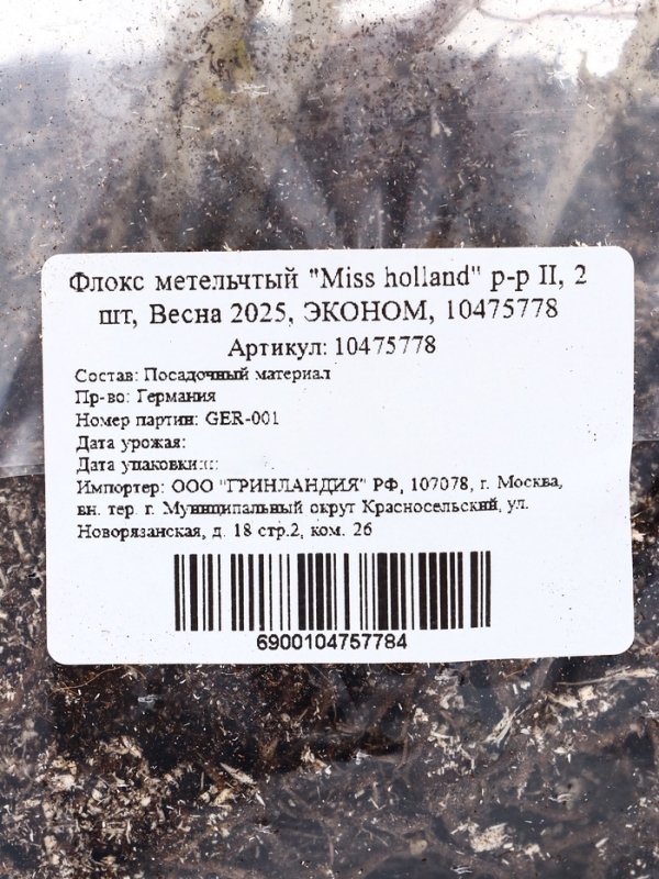 Флокс метельчтый "Miss holland" р-р II, 2 шт, Весна 2025, ЭКОНОМ,