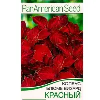 Семена цветов Колеус блюме Красный вельвет Мн Спецсерия PanAmerican, Ц/П,5 шт. Семена цветов Колеус блюме Красный вельвет Мн Спецсерия PanAmerican, Ц/П,5 шт.
