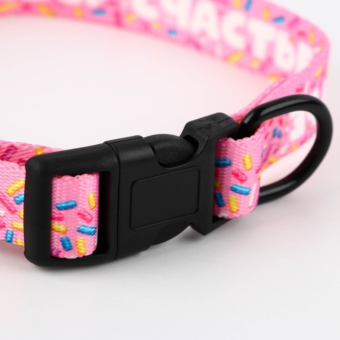 Ошейник «Несу счастье», застёжка - фастекс, 2 см 25-40 см Ошейник «Несу счастье», застёжка - фастекс, 2 см 25-40 см