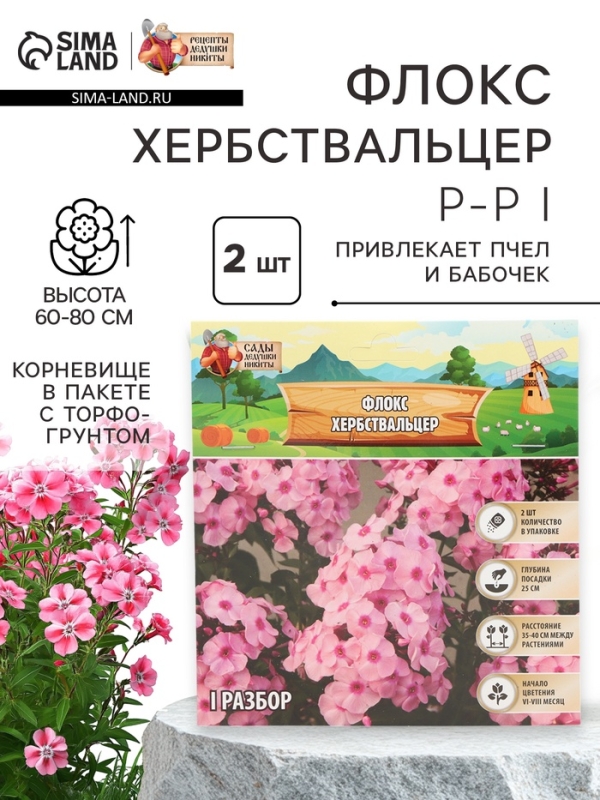 Флокс «Хербствальцер» корневище в пакете с торфогрунтом, р-р I, 2 шт.