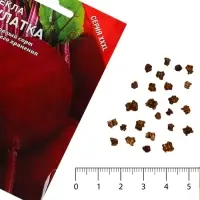 Семена Свекла &laquo;Мулатка&raquo;, XXXL, &laquo;Сембат&raquo;, 10 г