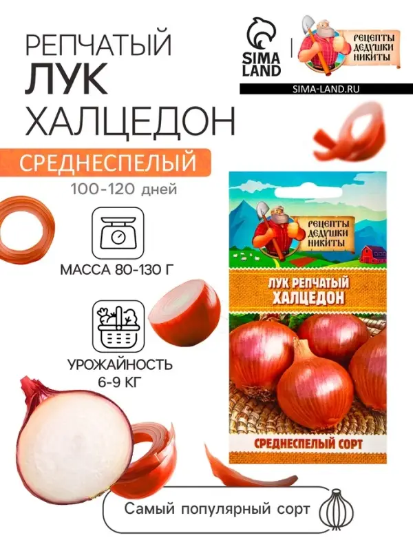 Семена Лук репчатый  Семена Лук репчатый "Халцедон", 0,5 г