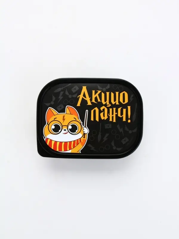 Ланч - бокс прямоугольный &laquo;Акцио ланч&raquo;, 500 мл