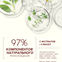 Шампунь для волос, питающий уход, аромат малины, 250 мл, Рябина