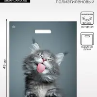 Пакет &laquo;Кот&raquo;, полиэтиленовый, с вырубной ручкой, 38&times;45 см, 60 мкм