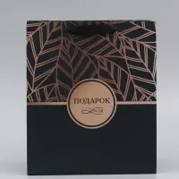 Пакет ламинированный вертикальный &laquo;Подарок&raquo;, 21&times;25&times;8 см