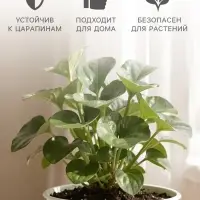 Горшок цветочный с поддоном, 800 мл, d=12 см, h=10.5 см, пластиковый, белый