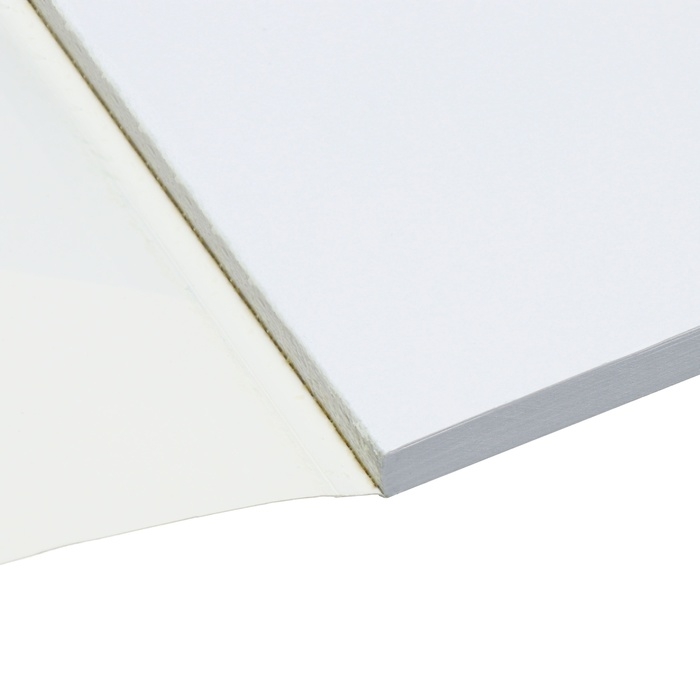 Альбом для рисования А4, 48 листов на склейке Альбом для рисования А4, 48 листов на склейке "Гусь", обложка мелованный картон, выборочный УФ-лак, блок офсет 120г/м2