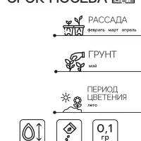 Семена цветов Колокольчик "ДИН-ДОН", Смесь, 0,1г