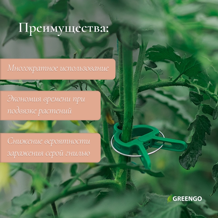 Набор для крепления растений: проволока - 18 м, прищепки - 18 шт., подвязки 24 см - 12 шт., Greengo