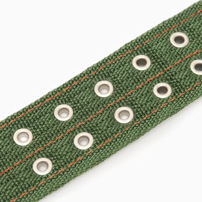 Ошейник четырехслойный, 80&times;4.9 см, ОШ 65-75 см, полиэстер, зелёный