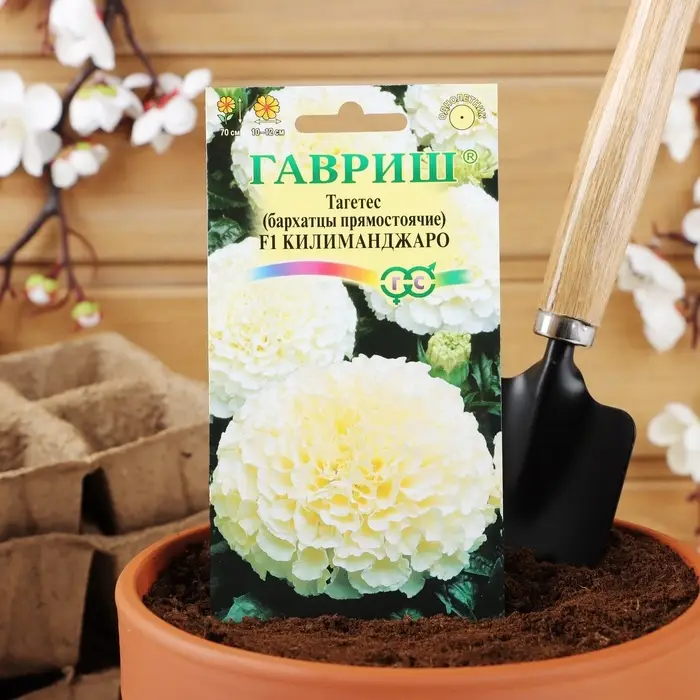 Семена цветов Тагетес, бархатцы прямые &laquo;Килиманджаро&raquo;, F1, 0.05 г, &laquo;Гавриш&raquo;