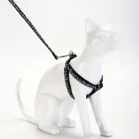 Шлейка с поводком &laquo;Жираф&raquo;, ширина 1 см, поводок 120 см, шлейка 23-35 см, чёрная, белая